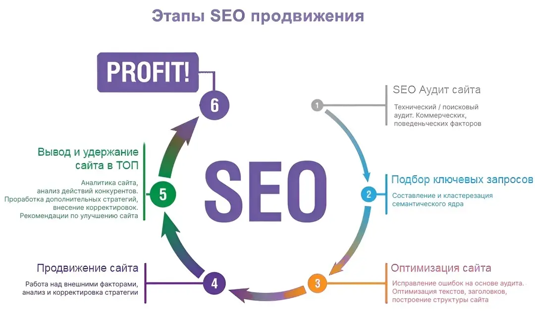 Инфографика SEO